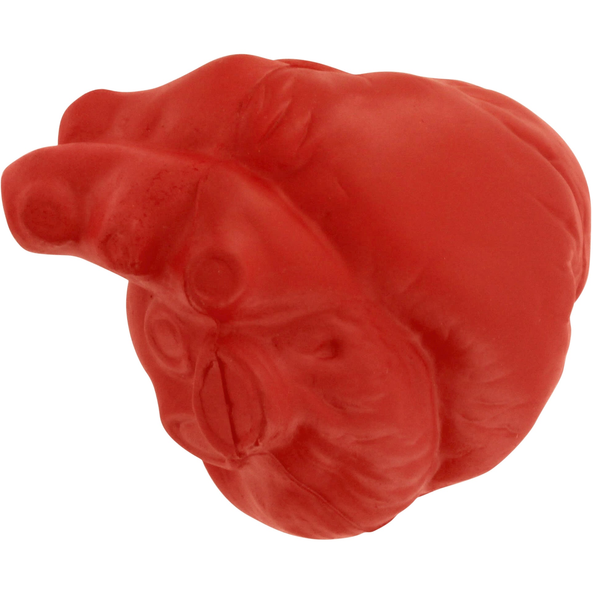 Corazones Anatómicos