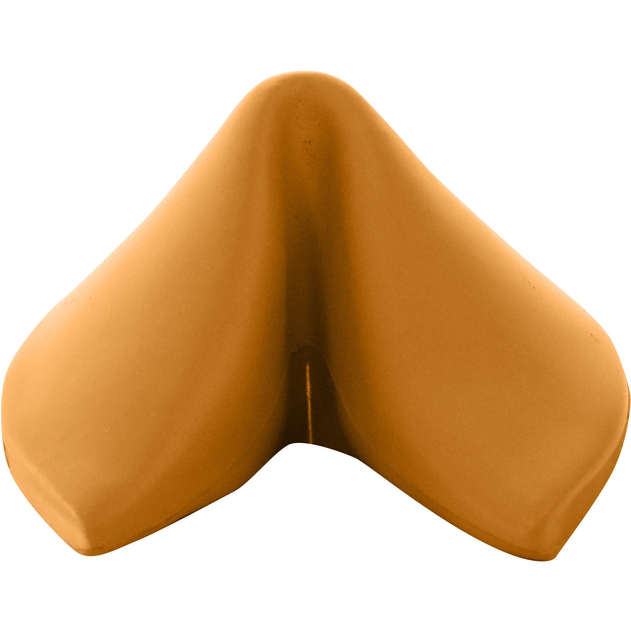 Galleta de la Fortuna